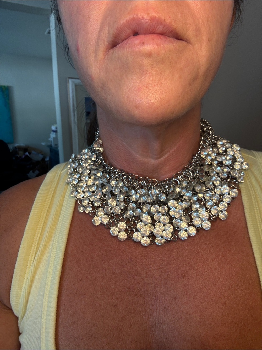 NIB Free People mesh and cz collar necklace